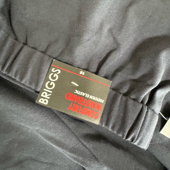 Women’s pants by Briggs New York size 18 - Picture 4 of 7